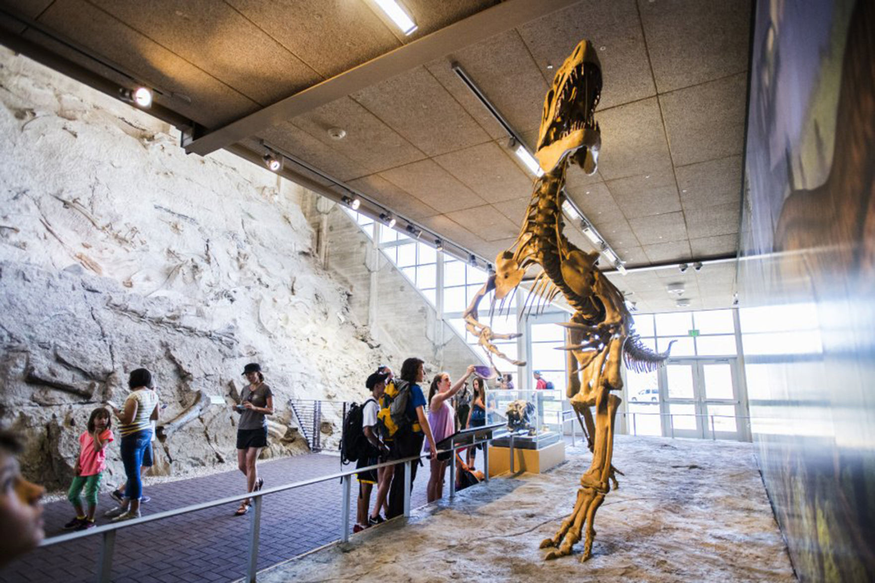 Allosaurus